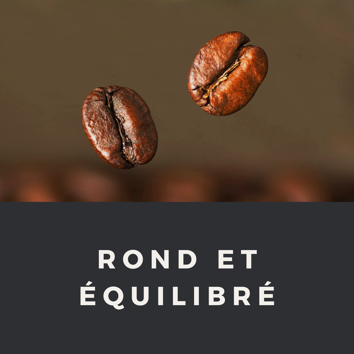 SUNLIT SAMBA : Café grain Brésil 250g - Torréfaction artisanale Francaise