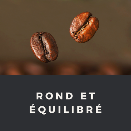 SUNLIT SAMBA : Café grain Brésil 250g - Torréfaction artisanale Francaise